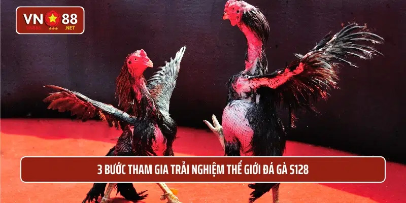 3 Bước tham gia trải nghiệm thế giới đá gà S128