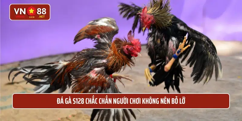 Đá gà S128 chắc chắn người chơi không nên bỏ lỡ