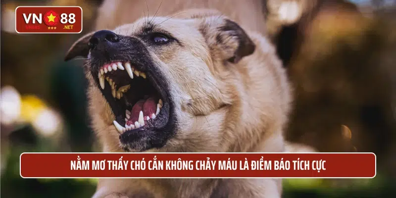 Nằm mơ thấy chó cắn không chảy máu là điềm báo tích cực