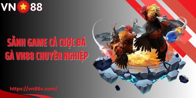 Sảnh game cá cược đá gà VN88 chuyên nghiệp