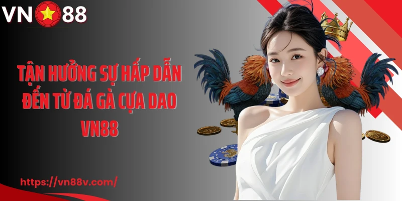 Tận hưởng sự hấp dẫn đến từ đá gà cựa dao VN88